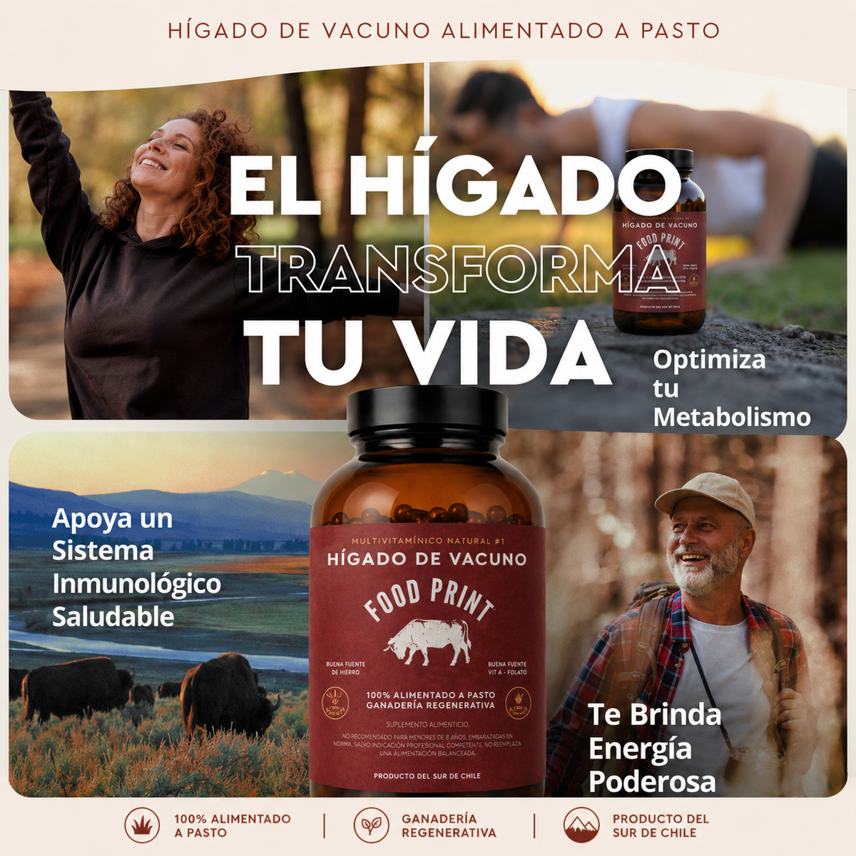 Hígado de Vacuno